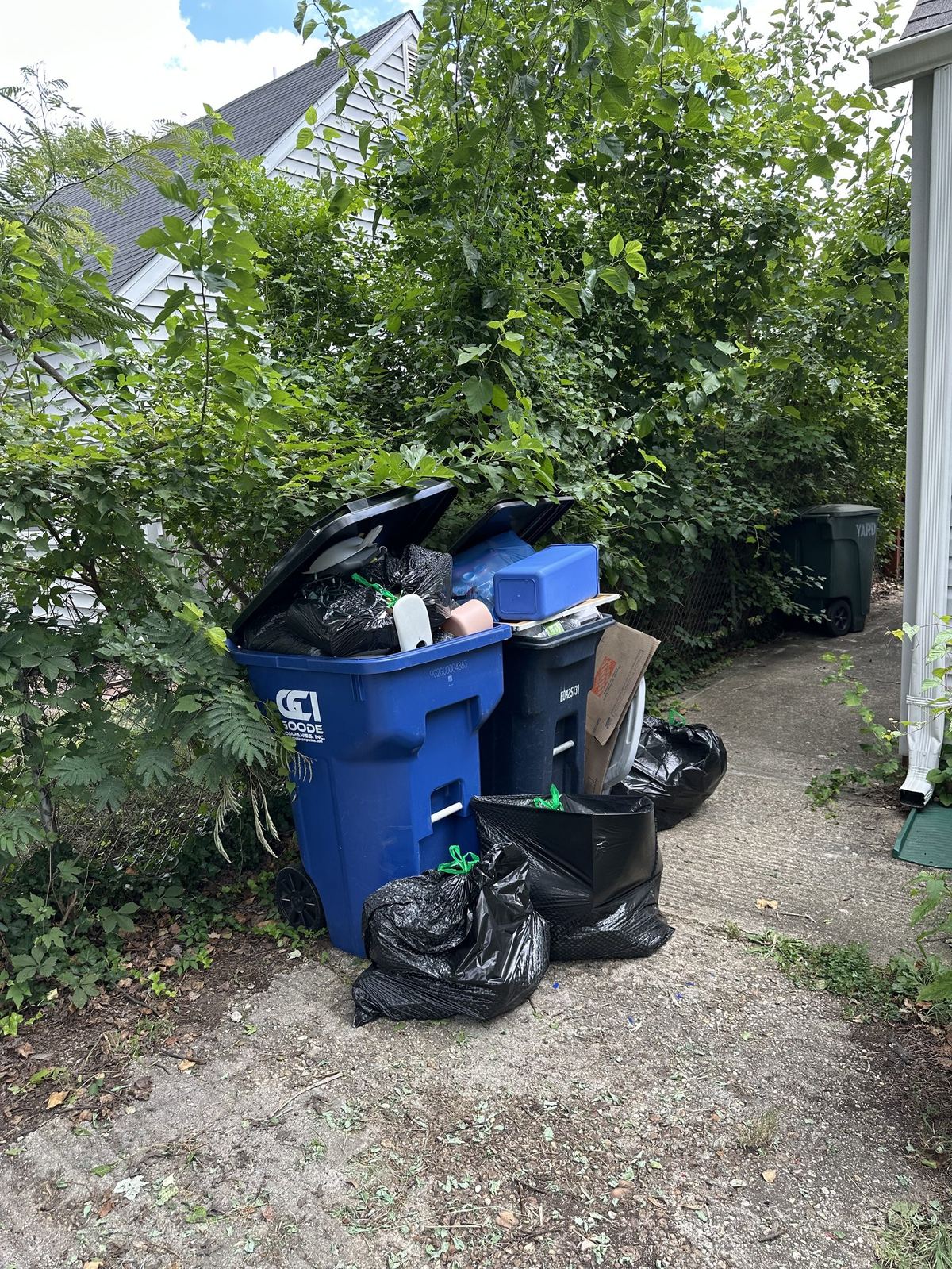 Overflowing trash bins before junk removal — Alexandria VA