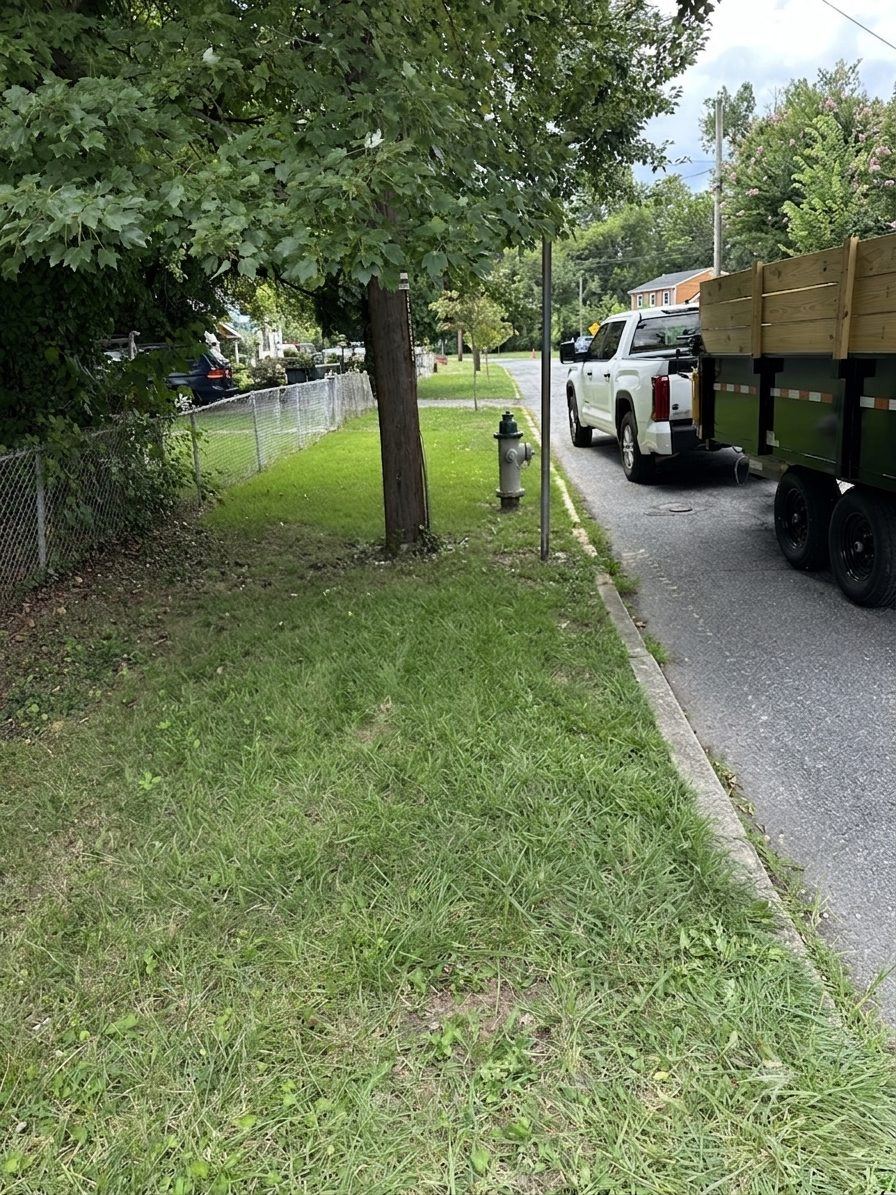 Curb clear after junk removal — Alexandria VA
