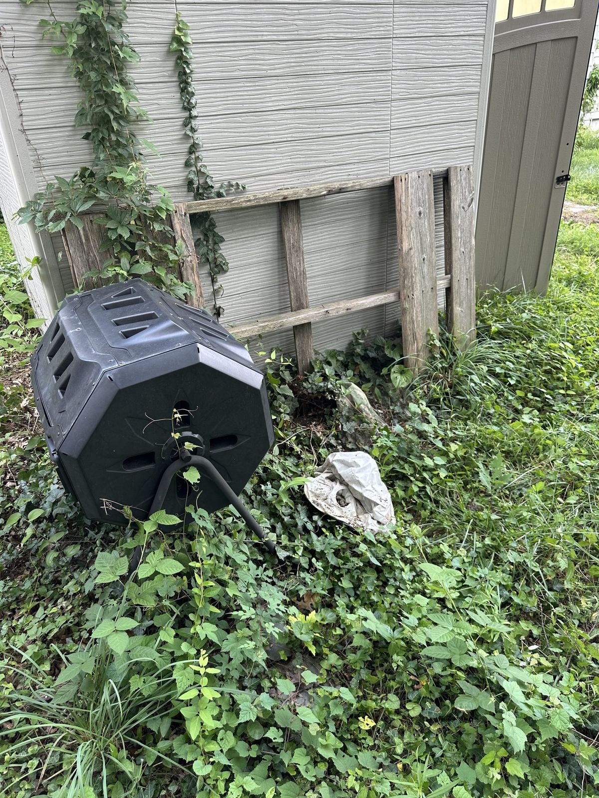 Overgrown fence line before yard debris removal — Alexandria VA