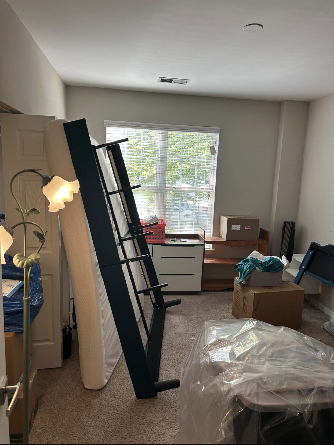 Apartment cleanout before - furniture and boxes