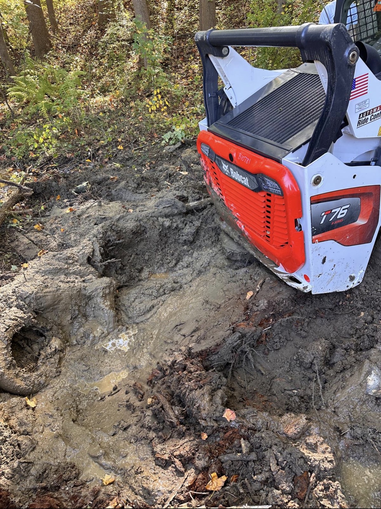 Root and stump removal - Great Falls VA