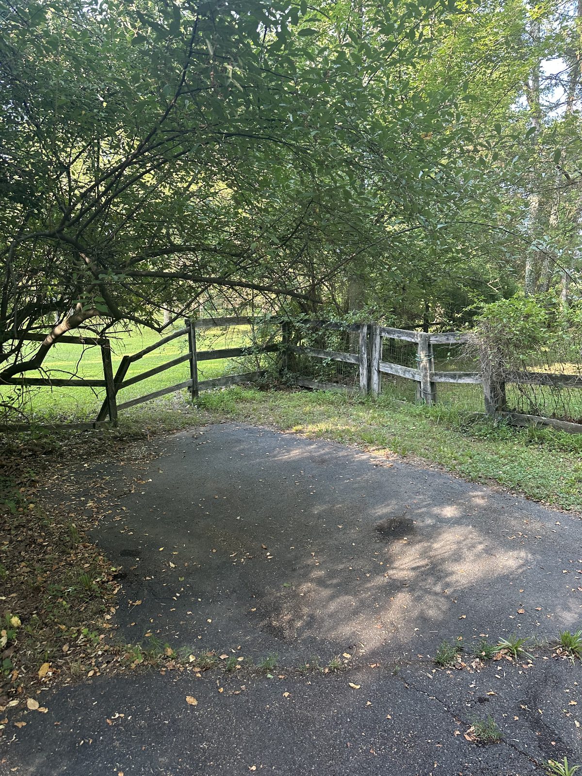Empty driveway after full cleanout — Great Falls, VA