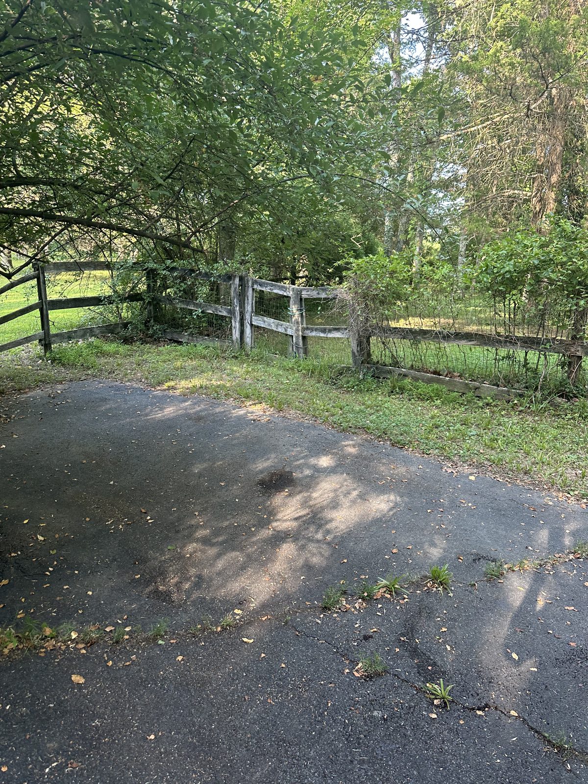Cleared property after junk removal — Great Falls, VA