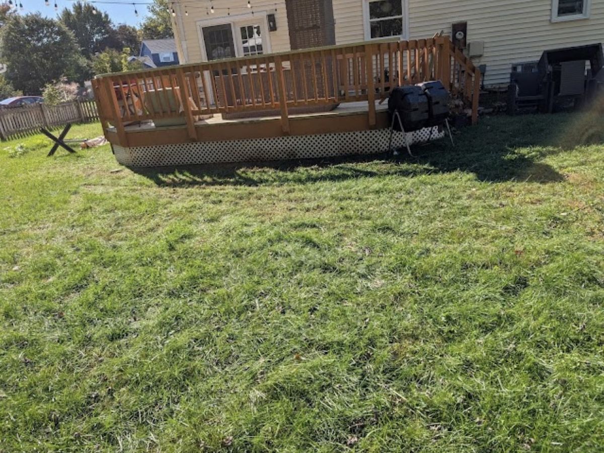 Backyard lawn after deck board removal, completely clean — Herndon VA
