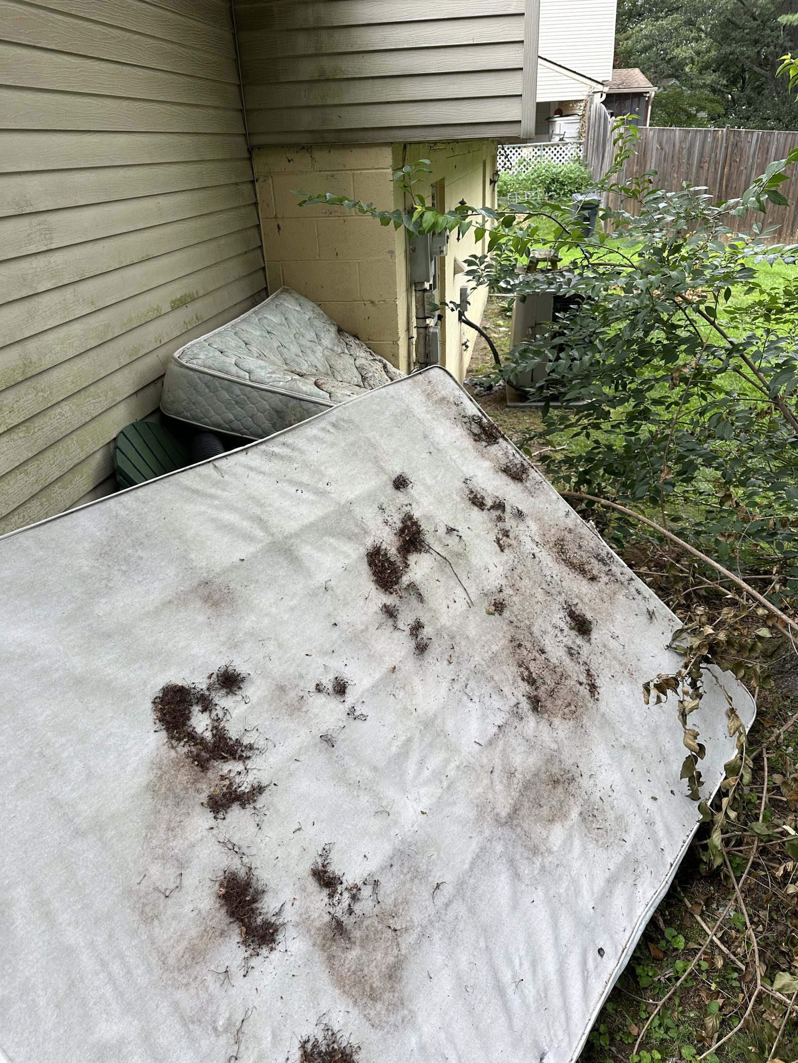 Queen mattress and box spring set aside for pickup — Herndon, VA