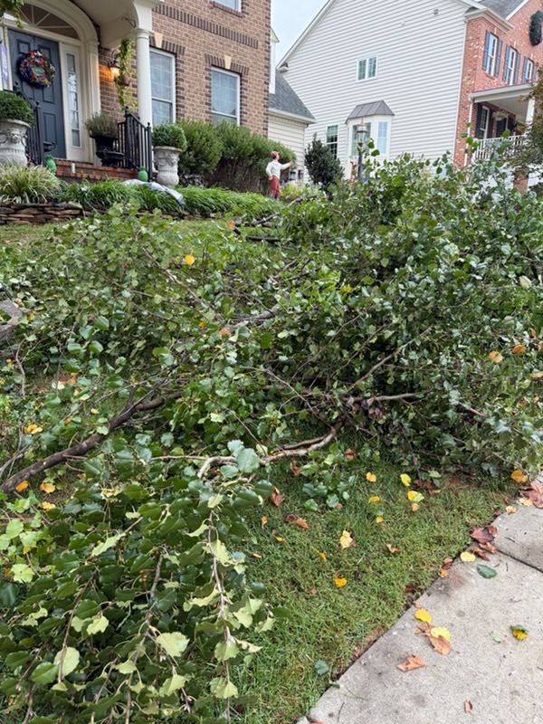Branches left by a landscaping crew next to the sidewalk — Leesburg VA