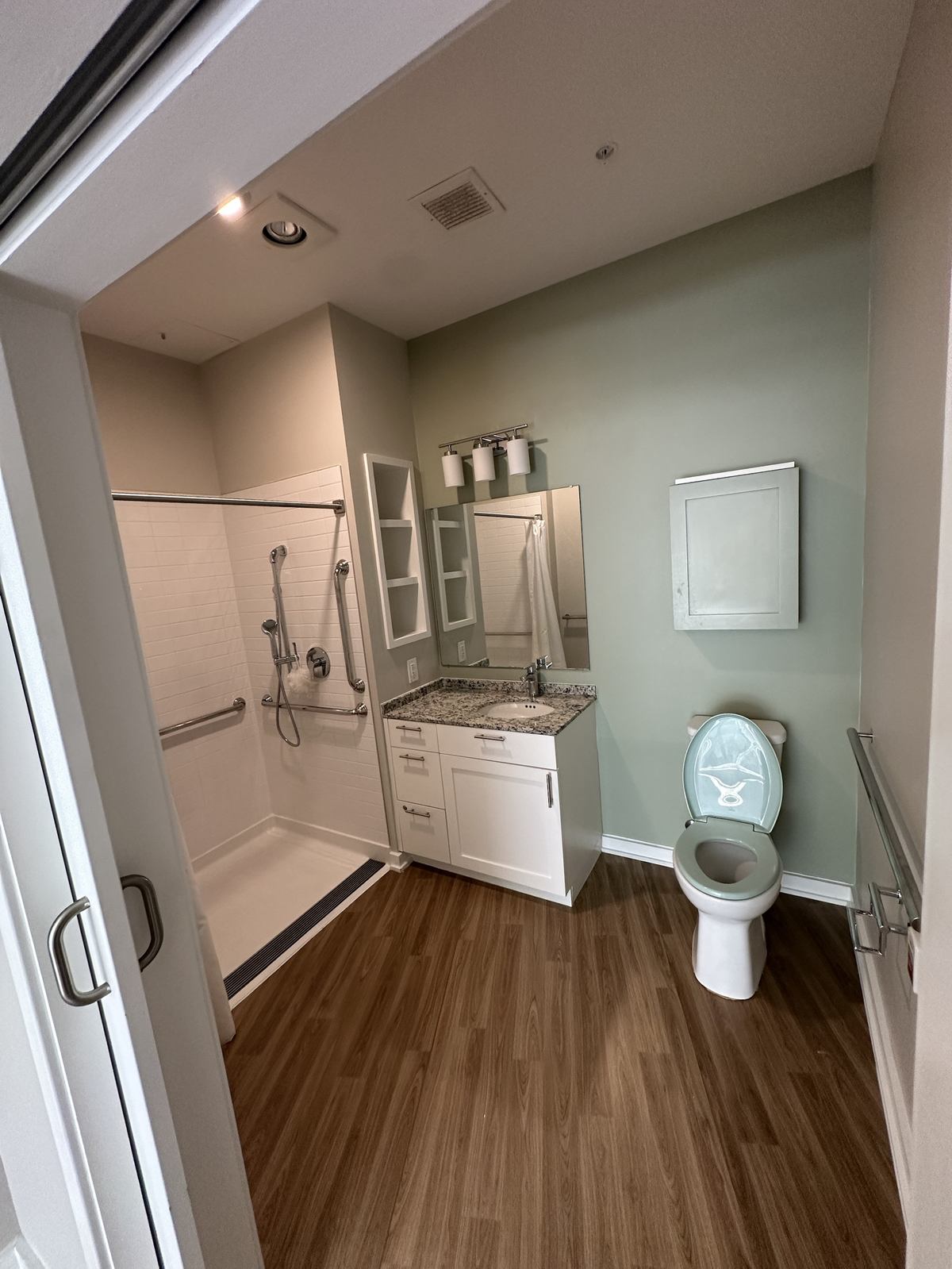 Assisted living bathroom after cleanout — Herndon, VA