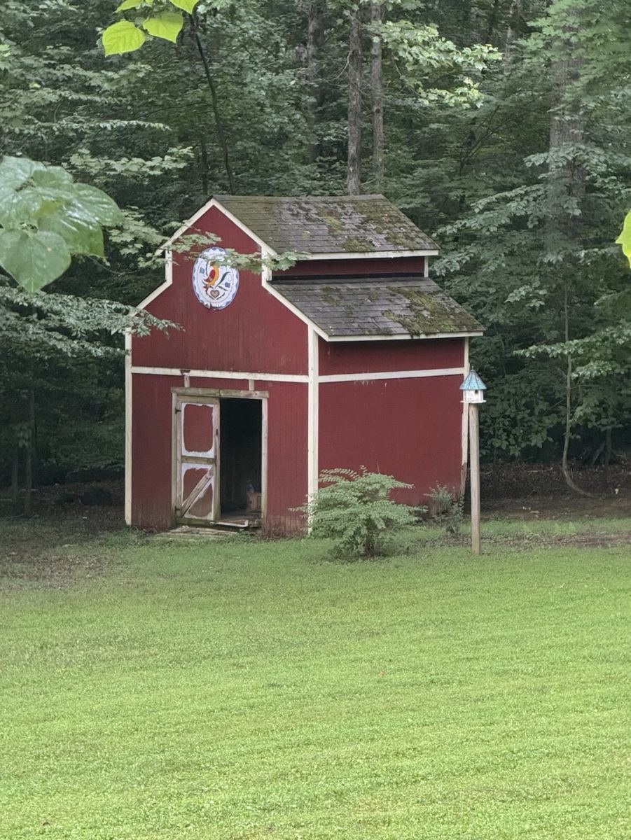 Old wooden shed before demolition in wooded backyard — Ashburn, VA