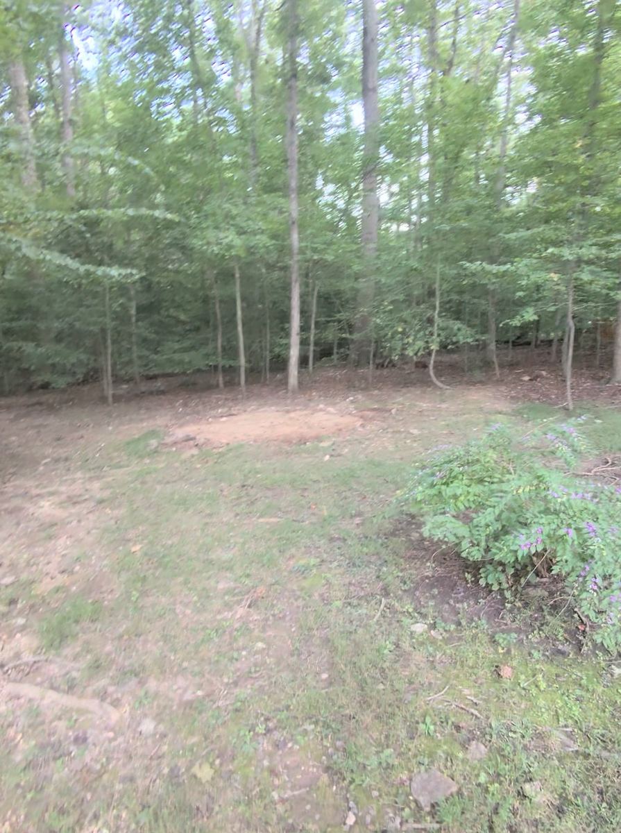 Cleared backyard space after shed demolition — Ashburn, VA