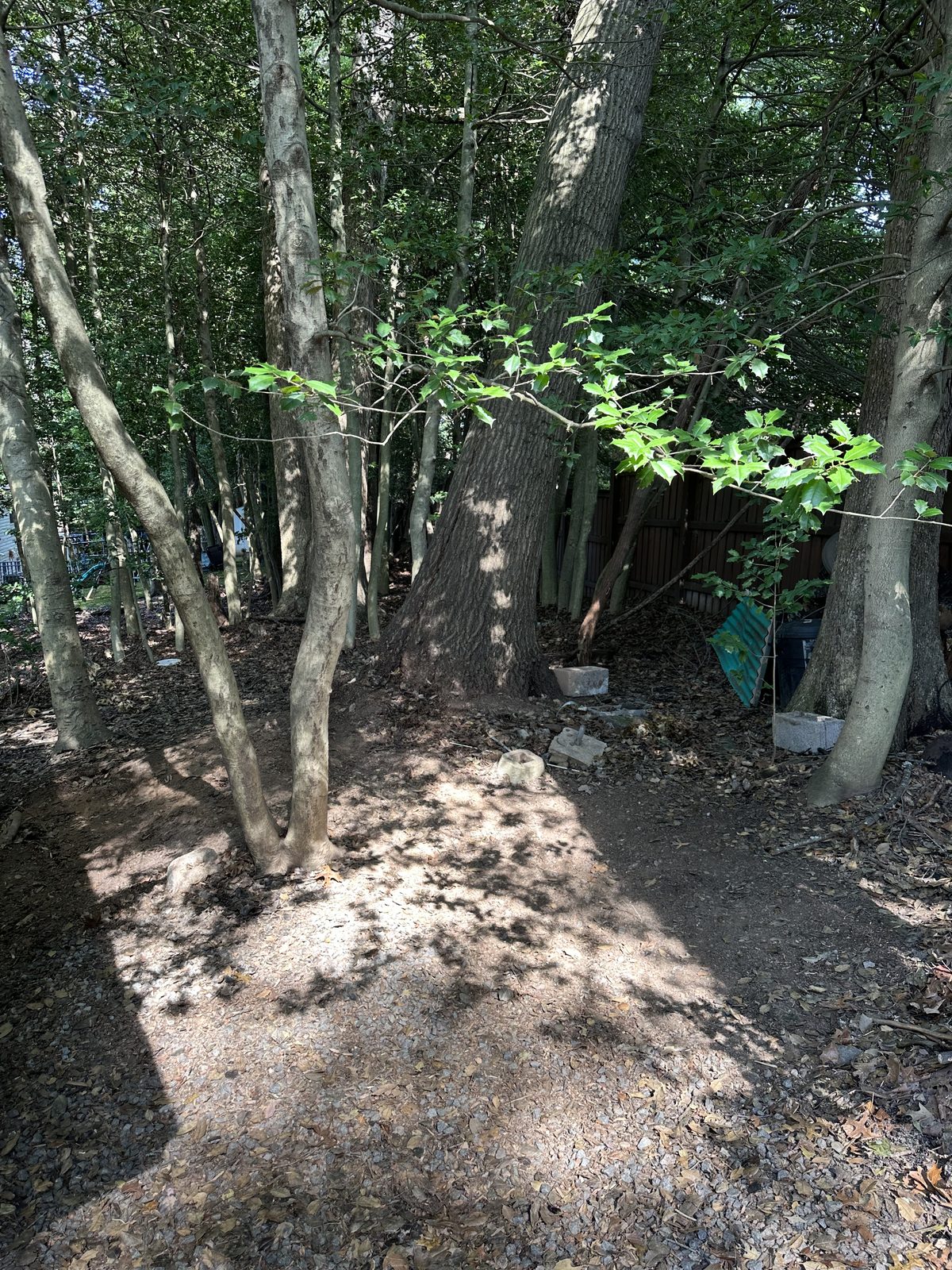 Cleared backyard after shed demolition — Fairfax, VA