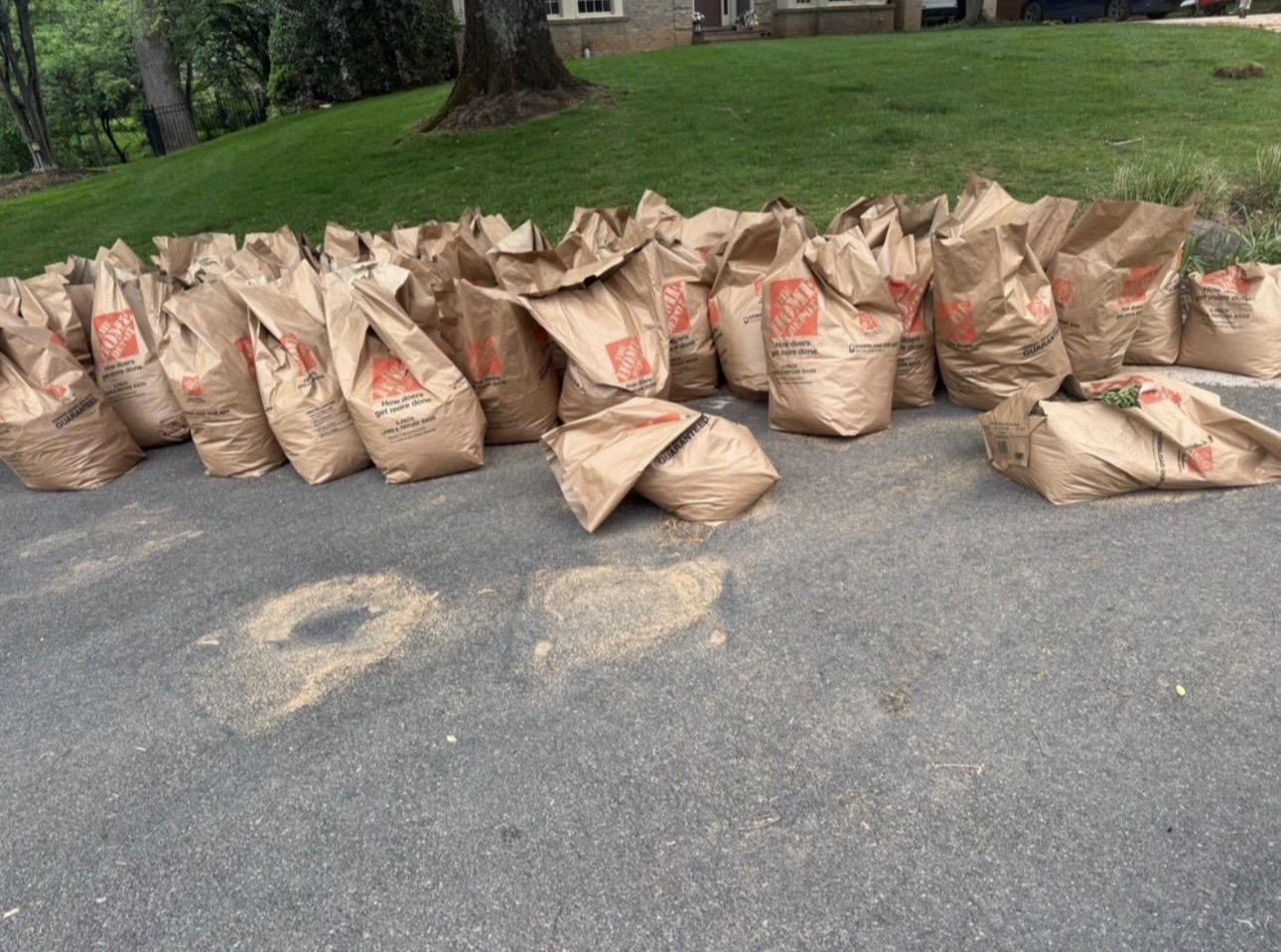 Clean driveway after yard waste removal - Fairfax VA