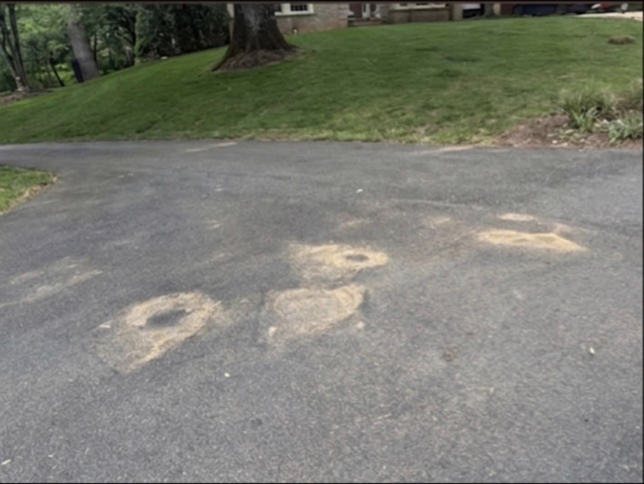 Yard waste before removal - Fairfax VA